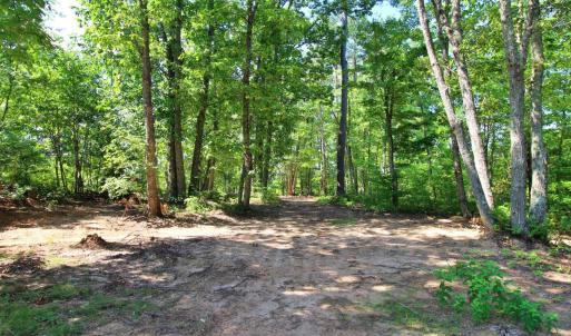 Photo #10 of 364 Community Road, Dillwyn, VA 3.7 acres