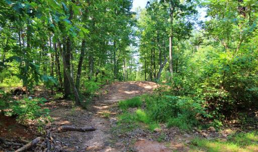 Photo #8 of 364 Community Road, Dillwyn, VA 3.7 acres