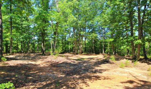 Photo #5 of 364 Community Road, Dillwyn, VA 3.7 acres