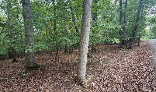Photo #2 of 17 Saunders Point Road, Huddleston, VA 0.7 acres