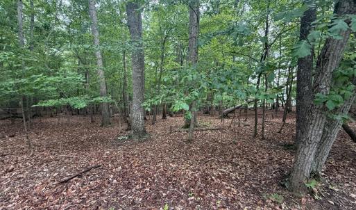 Photo #1 of 17 Saunders Point Road, Huddleston, VA 0.7 acres