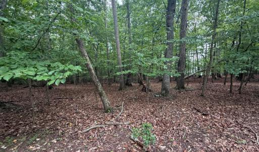 Photo #3 of 17 Saunders Point Road, Huddleston, VA 0.7 acres