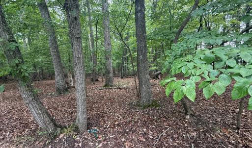 Photo #4 of 17 Saunders Point Road, Huddleston, VA 0.7 acres