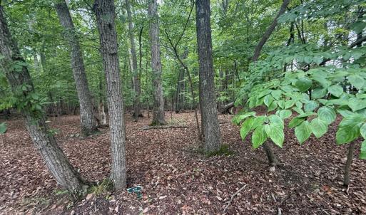 Photo #4 of 17 Saunders Point Road, Huddleston, VA 0.7 acres