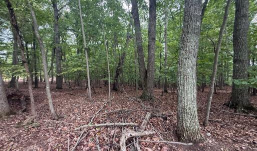Photo #4 of 18 Saunders Point Road, Huddleston, VA 0.5 acres