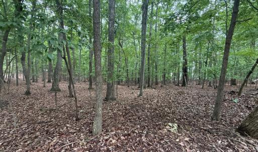 Photo #2 of 18 Saunders Point Road, Huddleston, VA 0.5 acres