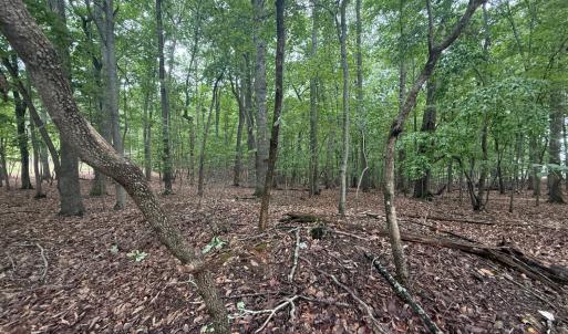 Photo #3 of 18 Saunders Point Road, Huddleston, VA 0.5 acres