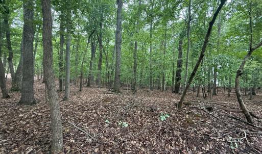 Photo #1 of 18 Saunders Point Road, Huddleston, VA 0.5 acres