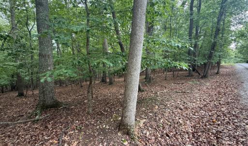Photo #5 of 18 Saunders Point Road, Huddleston, VA 0.5 acres
