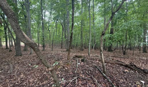 Photo #3 of 18 Saunders Point Road, Huddleston, VA 0.5 acres
