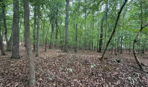 Photo #1 of 18 Saunders Point Road, Huddleston, VA 0.5 acres