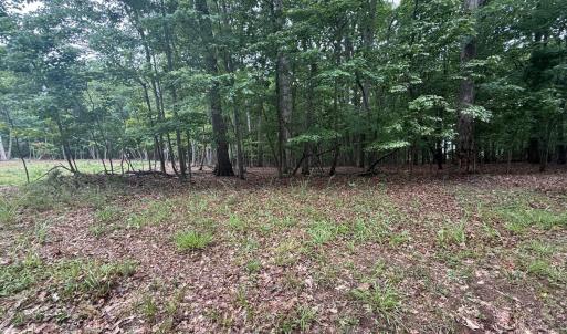 Photo #2 of 19 Saunders Point Road, Huddleston, VA 0.6 acres