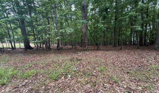 Photo #3 of 19 Saunders Point Road, Huddleston, VA 0.6 acres