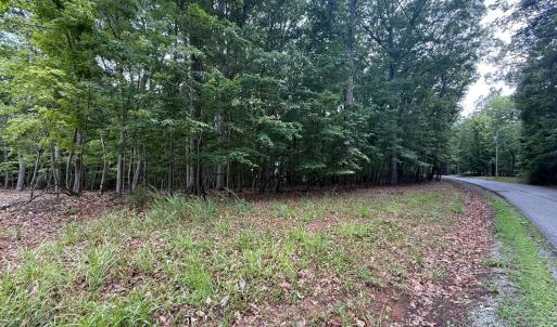 Photo #1 of 19 Saunders Point Road, Huddleston, VA 0.6 acres