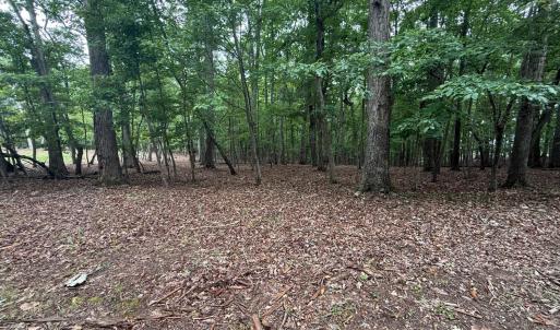 Photo #4 of 19 Saunders Point Road, Huddleston, VA 0.6 acres