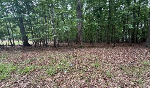 Photo #3 of 19 Saunders Point Road, Huddleston, VA 0.6 acres