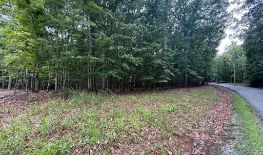 Photo #1 of 19 Saunders Point Road, Huddleston, VA 0.6 acres