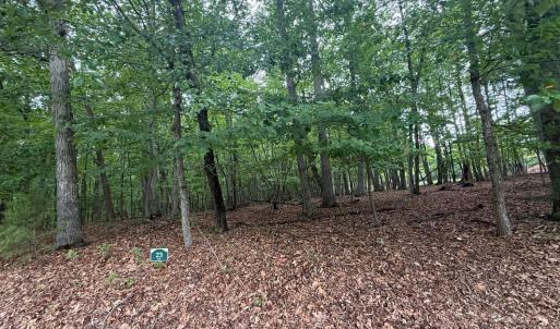 Photo #4 of 23 Lee Drive, Huddleston, VA 0.5 acres