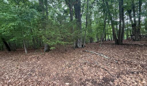Photo #2 of 23 Lee Drive, Huddleston, VA 0.5 acres