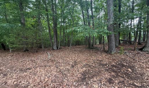 Photo #1 of 23 Lee Drive, Huddleston, VA 0.5 acres