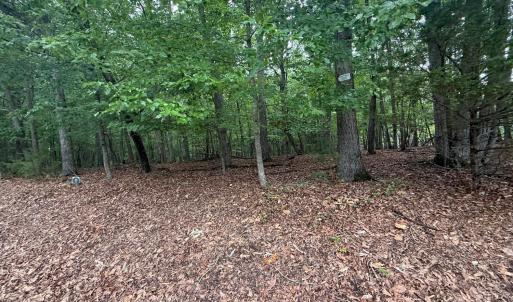Photo #3 of 23 Lee Drive, Huddleston, VA 0.5 acres