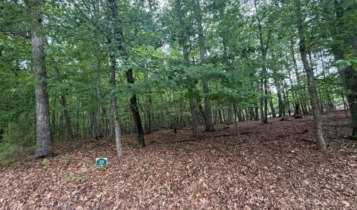 Photo #4 of 23 Lee Drive, Huddleston, VA 0.5 acres