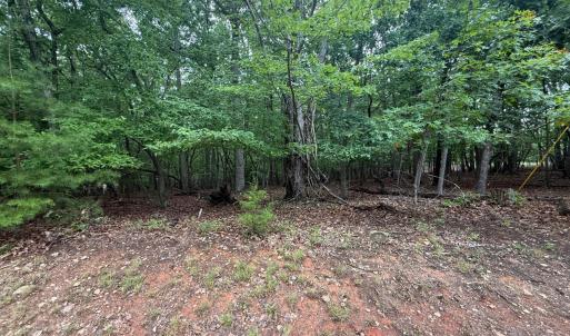 Photo #4 of 24 Lee Drive, Huddleston, VA 0.5 acres