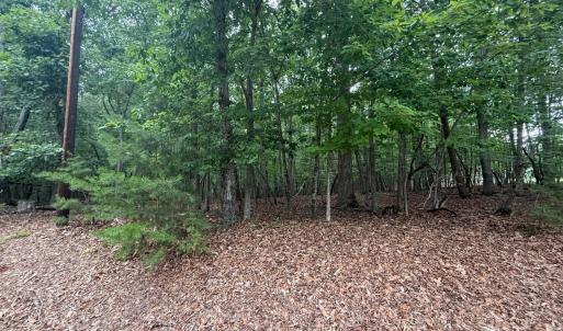 Photo #3 of 24 Lee Drive, Huddleston, VA 0.5 acres