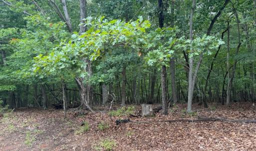Photo #1 of 24 Lee Drive, Huddleston, VA 0.5 acres