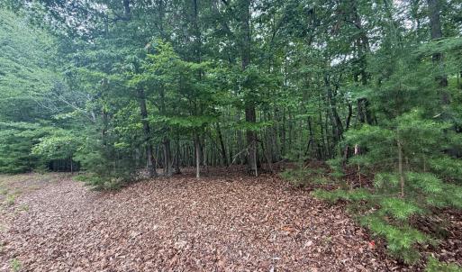 Photo #2 of 24 Lee Drive, Huddleston, VA 0.5 acres