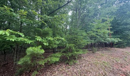 Photo #5 of 24 Lee Drive, Huddleston, VA 0.5 acres