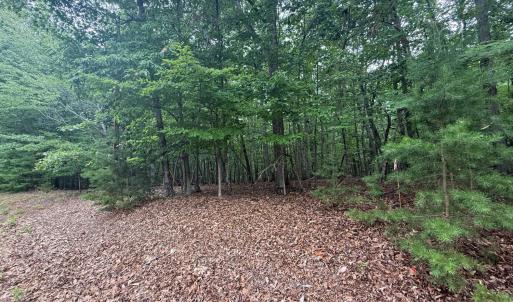 Photo #2 of 24 Lee Drive, Huddleston, VA 0.5 acres