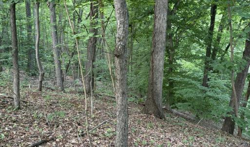 Photo #18 of Leesville Lake Drive, Pittsville, VA 5.6 acres