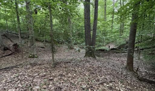 Photo #12 of Leesville Lake Drive, Pittsville, VA 5.6 acres