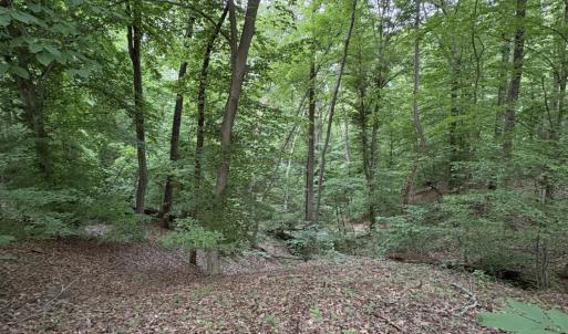 Photo #7 of Leesville Lake Drive, Pittsville, VA 5.6 acres