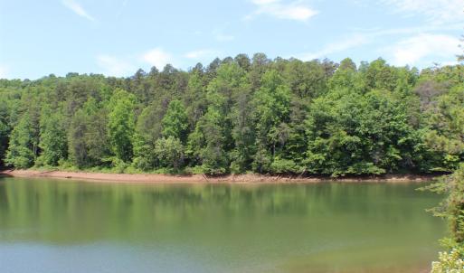 Photo #23 of 305 Runaway Bay Road, Lynch Station, VA 5.3 acres