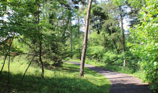 Photo #14 of 305 Runaway Bay Road, Lynch Station, VA 5.3 acres