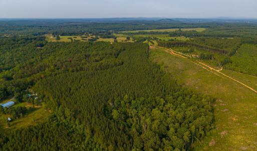 Photo #10 of Wyatt Miles Road, Gladys, VA 25.0 acres