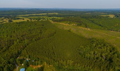 Photo #11 of Wyatt Miles Road, Gladys, VA 25.0 acres