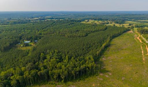 Photo #9 of Wyatt Miles Road, Gladys, VA 25.0 acres