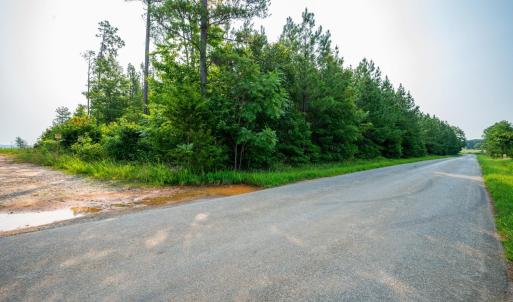 Photo #4 of Wyatt Miles Road, Gladys, VA 25.0 acres