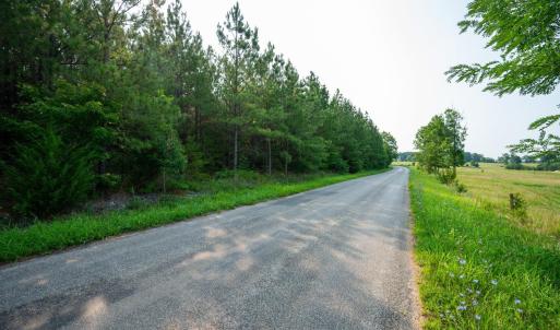 Photo #3 of Wyatt Miles Road, Gladys, VA 25.0 acres