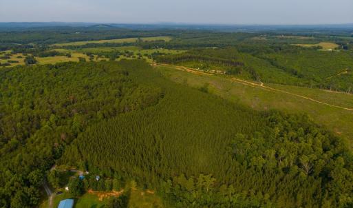 Photo #11 of Wyatt Miles Road, Gladys, VA 25.0 acres