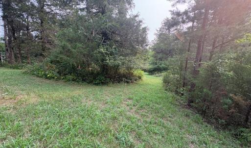Mowed path