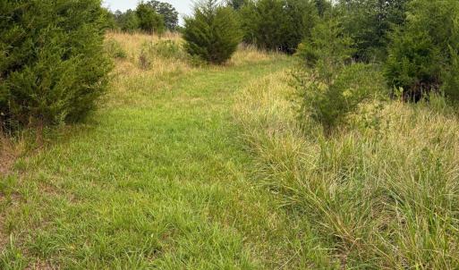Mowed path