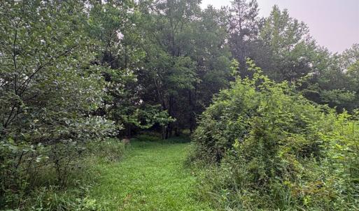 Mowed path