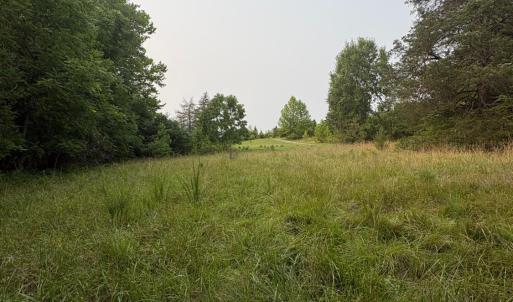 View from lower end of lot