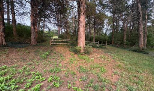 Photo #14 of Two Bid Road, Evington, VA 4.5 acres