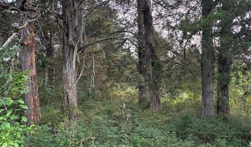 Photo #20 of Two Bid Road, Evington, VA 4.5 acres