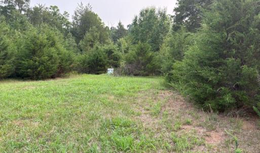 Mowed path towards top of the lot